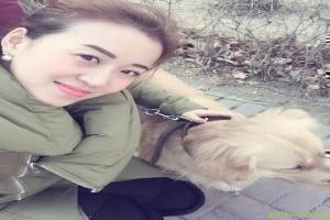 小猪佩奇最新集在线观看